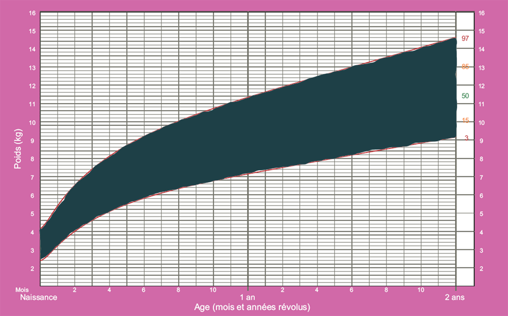 Zone des percentiles 3 à 97 d'une courbe de poids OMS pour fille.